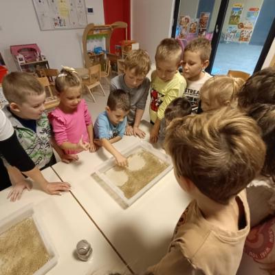 Img Adb530783b0098c087fc25aad238fa8c V