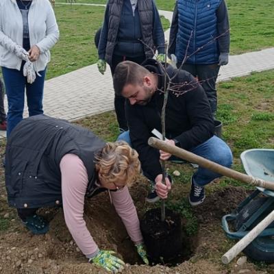 Vise Cvijeca Manje Smeca