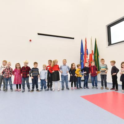 196196 Lastavica18 Vzr 151124