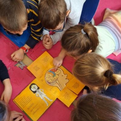 Img 77895c7ca2af48176997b2d6d7a9a50f V