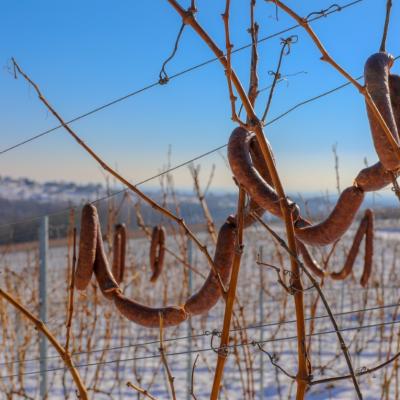 Vincekovpohod2024kobasice 81 Of 111