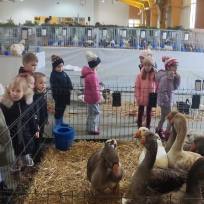 Img 55697b955248c842ced4c5f0fd71e838 V